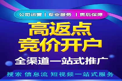 百度竞价代理技巧：经典成功案例解析